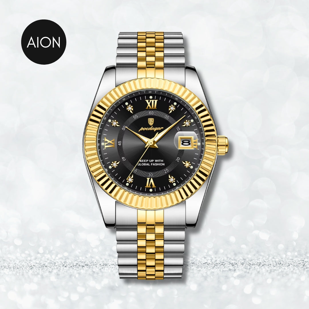 AION Imperial Steel Timepiece