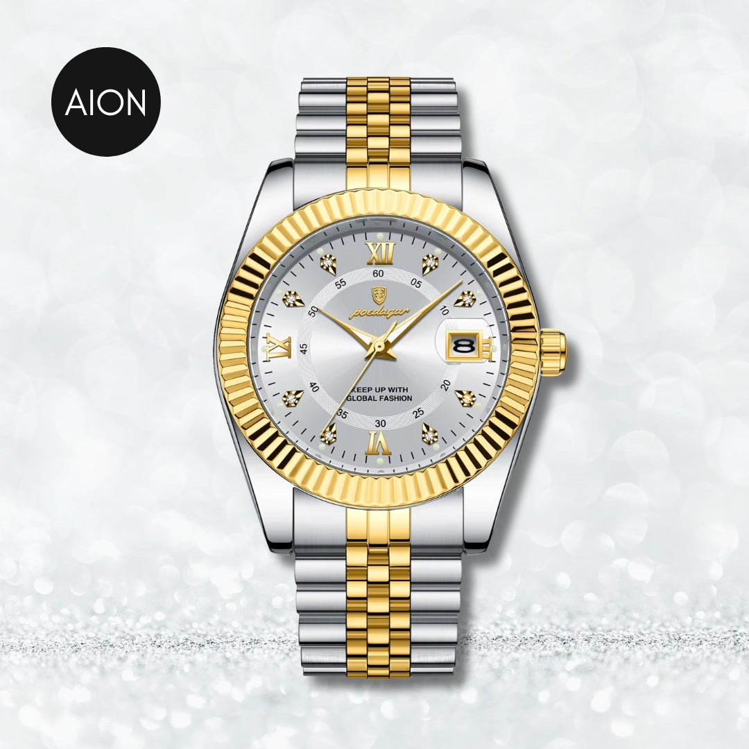AION Imperial Steel Timepiece