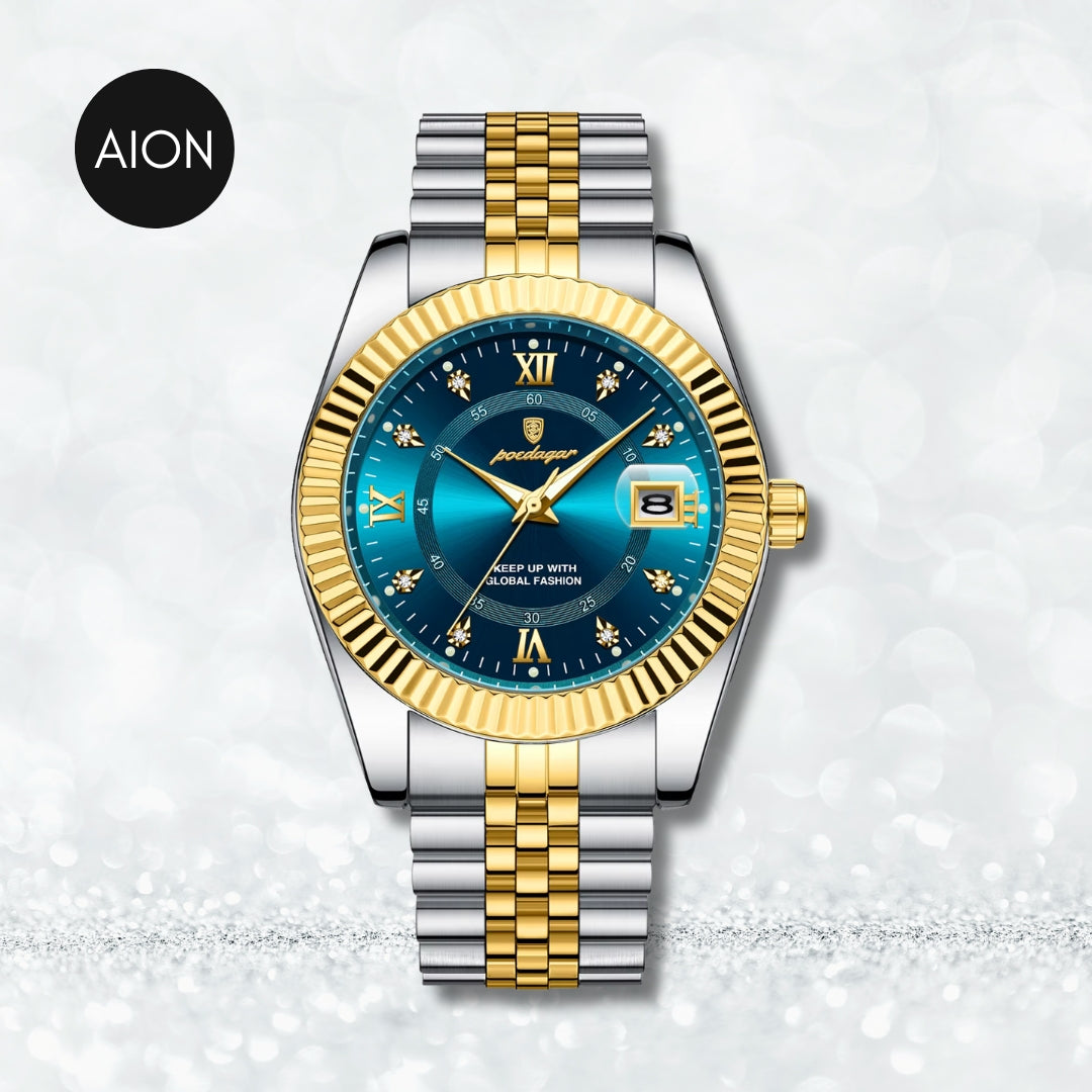 AION Imperial Steel Timepiece